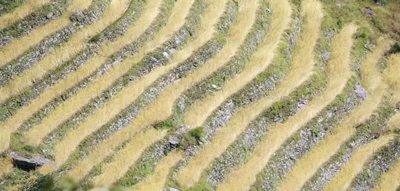 Explore three Kingdoms of Himalaya gallery image