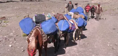 Markha Valley Trek gallery image